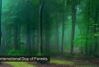 international forest day
