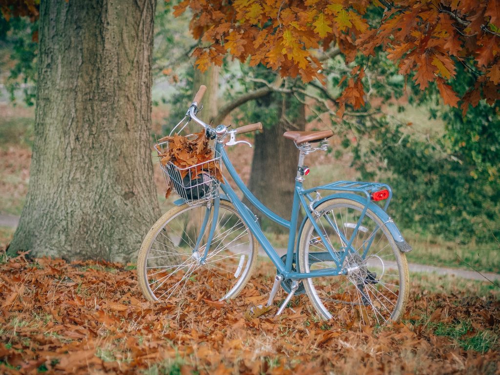 World bicycle day 2021