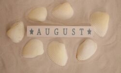 Important Days in August 2026