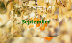 September Holidays 2026