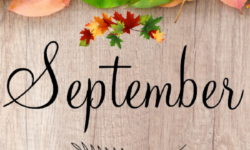 Special Days in September 2026